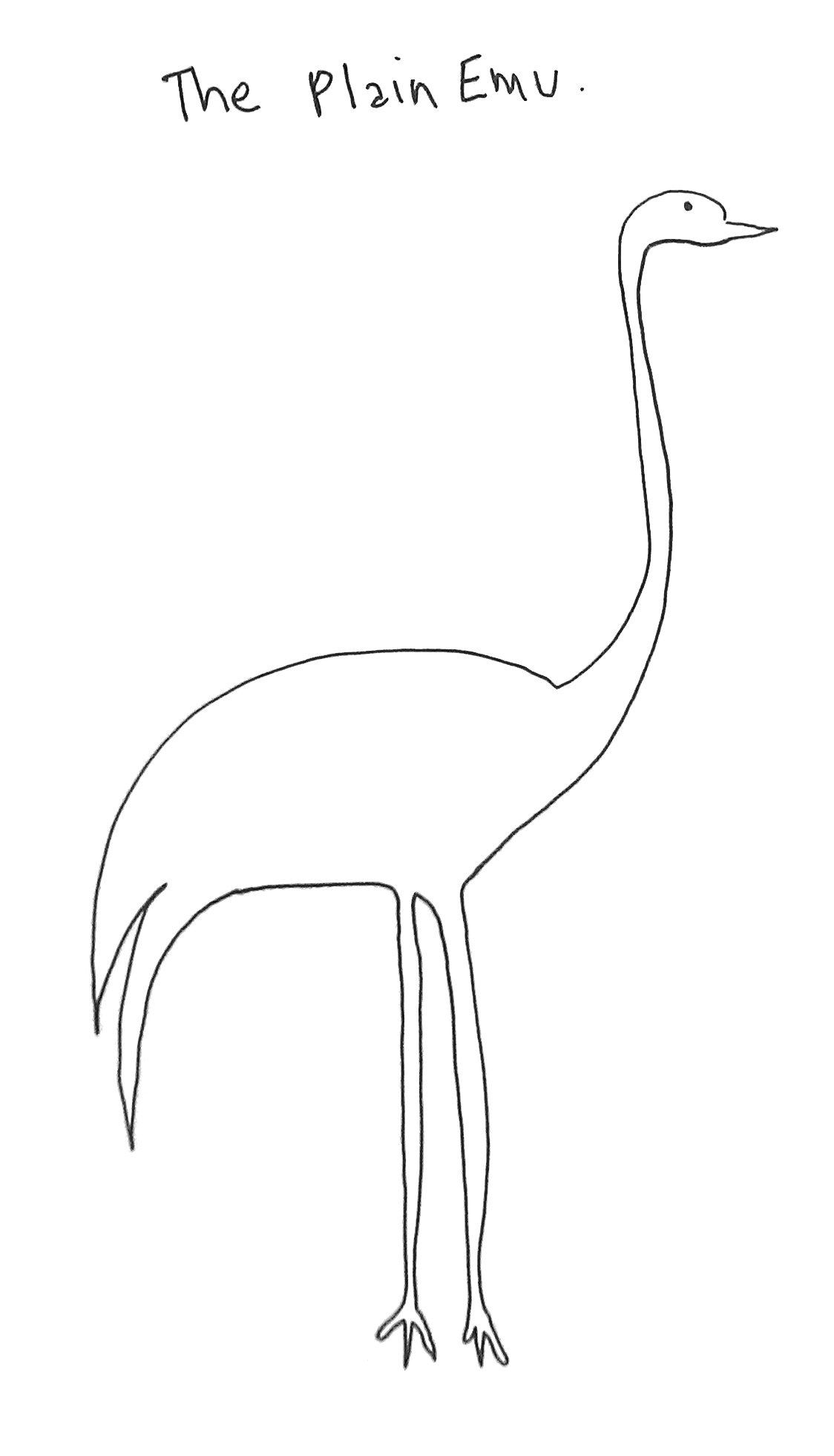 line drawing of emu