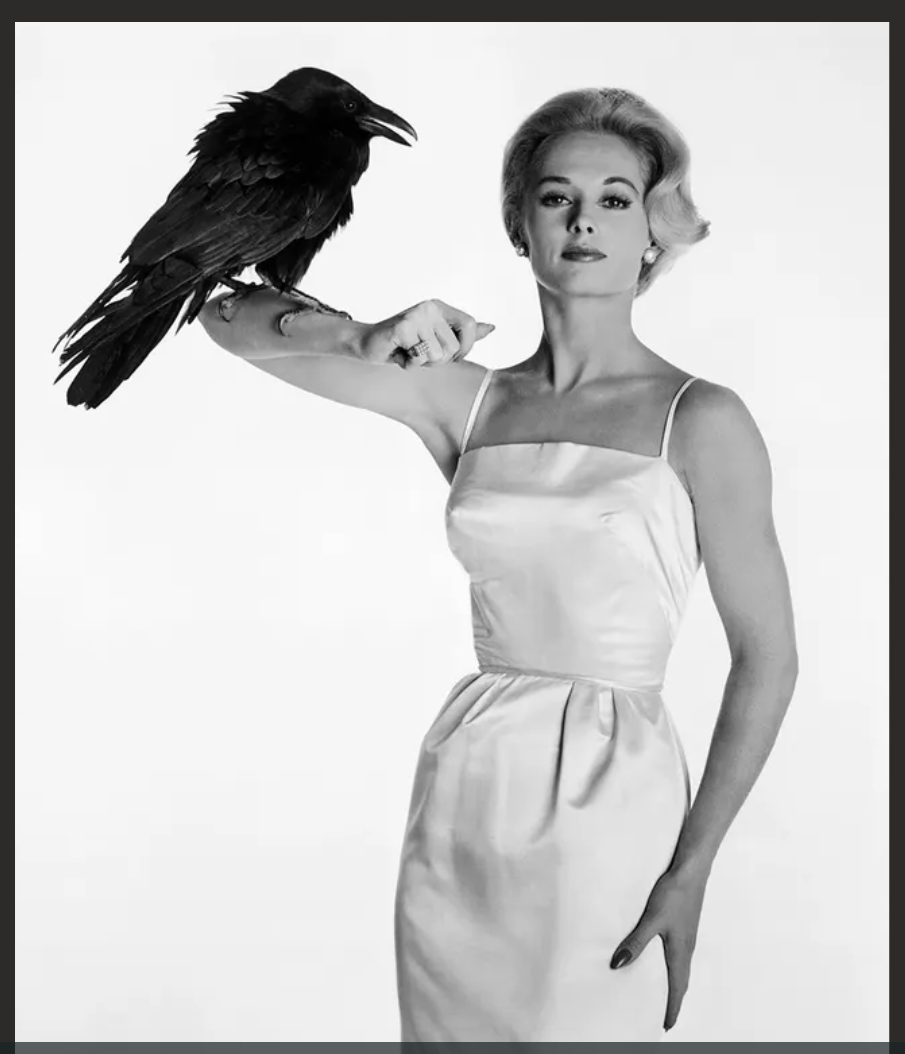 Tippi Hedron with large bird